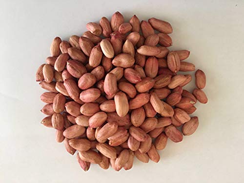Image of Ancy Peanut Raw 500 Grams (250 Grams X 2) - High Protein Kacchi Moongfali for Weight Loss, Diet Plans, and Healthy Indian Meals | Singdana Best for Chutney, Poha, Chaat & Ghar Ka Khana | Also Good For Vrat or Fasting during Navratri, Shivratri, Ekadashi | Diet Food | Raw Groundnut | Peanut Kernels for Dietry Fibre | High Quality Desi Kacchi Moongfali