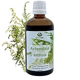 Artemisia Annua | Einjähriger Beifuß | Reiner Pflanzenauszug | Alkoholfrei | 100ml | VITINC®