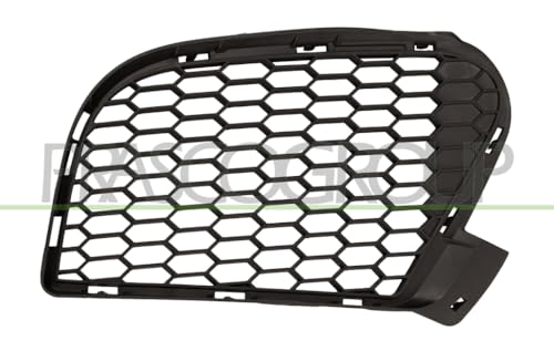 Rejilla frontal Spoilers Prasco bm8252123 de alta resistencia para ventilación del motor