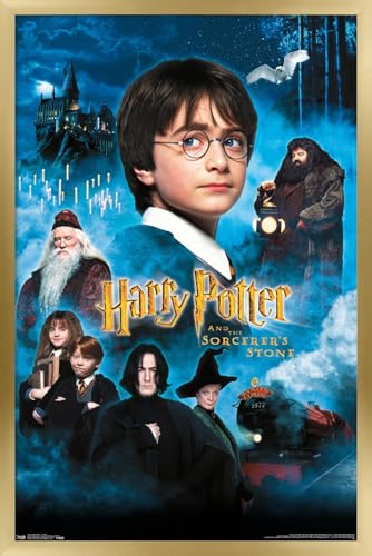 Trends International Harry Potter and the Sorcerer's Stone - Candles One Sheet Wall Poster, 14.725" x 22.375", Gold Framed Version