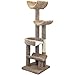 New Cat Condos 190121-Brown Cat Climbing Tree