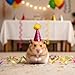 Thinp 10 Pcs Birthday Party Hats, Mini Party Hats for Stuffed Animals Glitter Birthday Partys Cone Hat with Pom Poms Colorful Mini Birthdays Hat for Pet Birthdays Partys Decoration Supplies