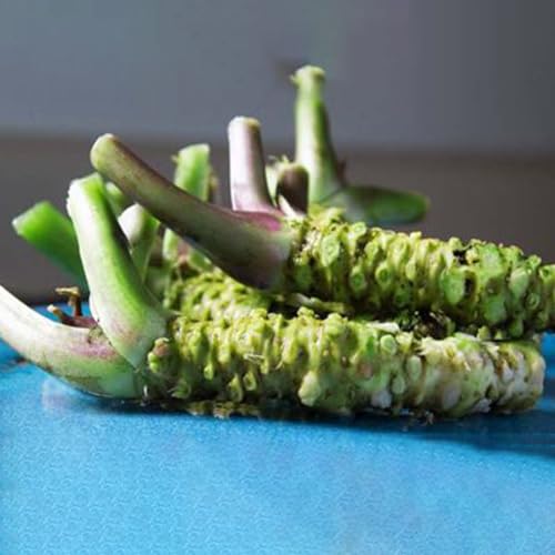 semilla wasabi cocina de jardín de resistentes para jardines rocas resistentes jardín cama elevada para balcón interior decoración 300pcs