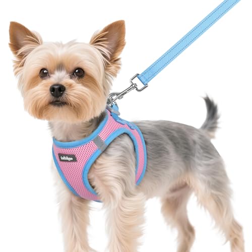 rabbitgoo Step-In Harness & Leash Set (Pink & Light Blue, XS)
