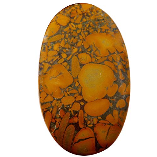 Cabochon en jaspe de bambou naturel ovale pierre fine 75,45 cts pour bijoux Mk67