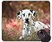 Produktbild Naturkautschuk-Gaming-Mauspad mit pet Dalmatiner Hund bedruckt - genähte Kanten