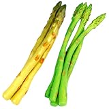 BESPORTBLE Spargel Modell 8 Stück aus Schaumstoff und PVC für Rustikale Küchendeko Food Fotografie und Wohnraum Accessoires