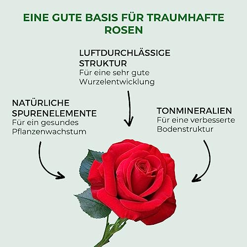 Rosenerde Bioflor Premium 20 Liter für gesunde Balkonpflanzen