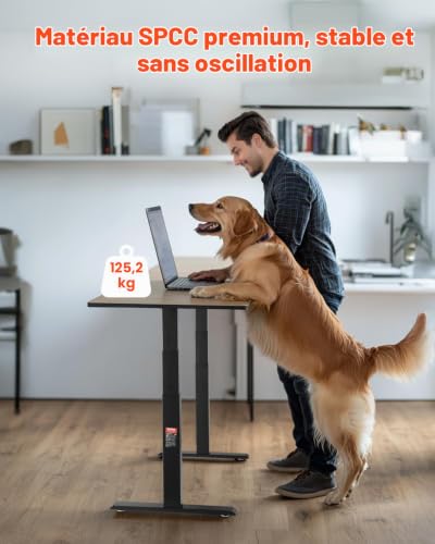 VEVOR Cadre bureau debout double moteur hauteur 65 129cm longueur 110 178cm 3 positions . - vue 8