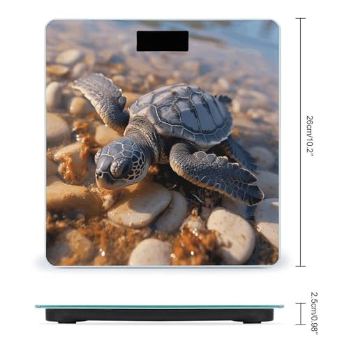 Balanzas digitales con diseño de tortuga bebé y vidrio templado miniatura 2