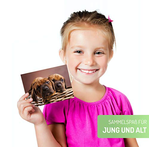Postkarten-Set Clever Pool mit 36 kreativen Designs