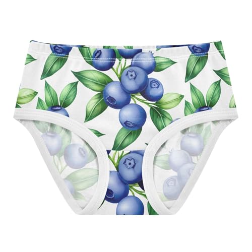 Joisal Pattern Girls Underwear Toddlers 2t Cotton Panties Little Girl Blueberries Green Leaves Briefs Undies Kids