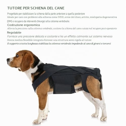 Fockety Tutore per la Schiena del Cane per l'artrite, tutore per la Schiena per l'IVDD nei Cani, per alleviare Il Dolore alla Schiena, per Il Recupero Chirurgico e la Riabilitazione (L)