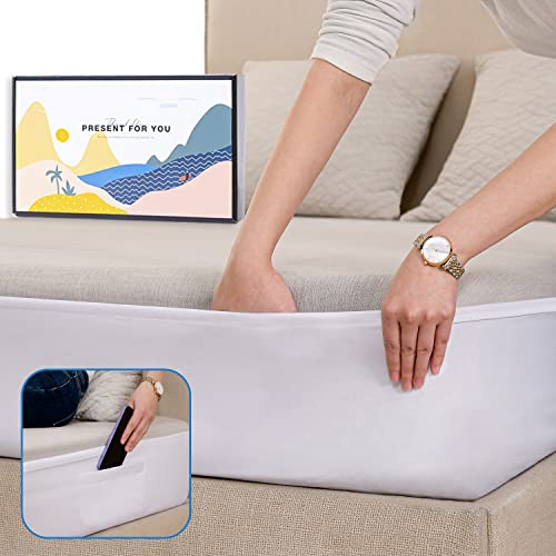 Reviews of the 10 Best Better Bedder in 2023