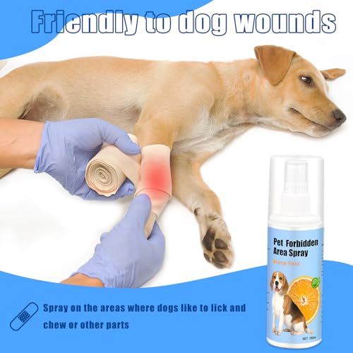 ZOSIMP No Chew Spray for Dogs 2 Pack (100ML) Natural Ingredients Bitter Apple Spray for Dogs Alcohol