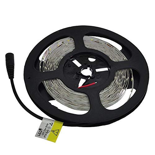 Tira LED flexible blanca 6000K 5m 24W miniatura 2