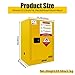 DEFNES Flammable Storage Cabinet 23.23