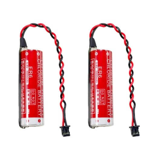 DUDUTANG 2�� ER6 3.6V 2000mAh PLC �g���̂ă��`�E���d�r DF13�v���O�t��