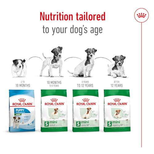 Royal Canin Mini Adult 8+ | 4 kg | Alleinfuttermittel für kleine Hunde (bis 10 kg) | Ab dem 8. Lebensjahr | Kann zur Unterstützung der Vitalität beitragen
