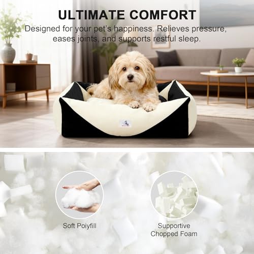 Image of Cotton Canvas Dog Bed, Cute Dog Beds for Small Dogs, Puppy Bed with Washable Removable Cover, Durable 290 GSM Cotton Anti-Chewing Pet Bed with Anti-Slip Bottom (24 inchx20 inchx8 inch, Black&White)
