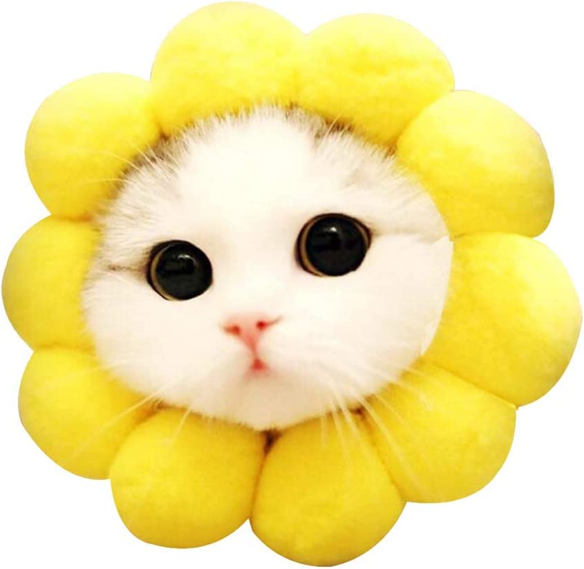 Amazon.co.jp: エリザベスカラー 猫用品 軽量 負担なし ドーナツカラー