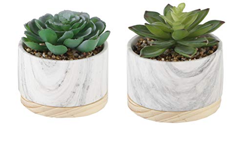 Flora Bunda - Juego de 2 suculentas de imitación en Maceta de cerámica de mármol con Base de Madera de 10,16 cm