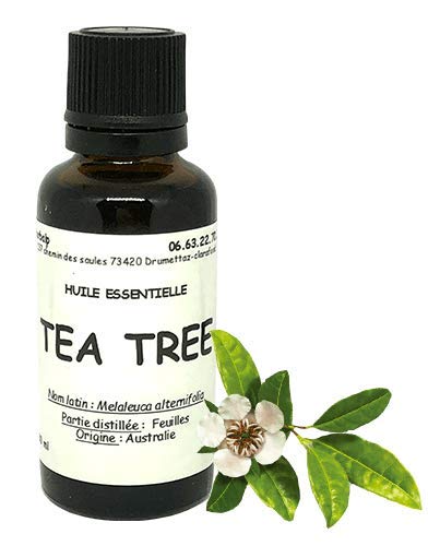 Huile essentielle de Tea tree - arbre à thé (30 ml) Melaleuca alternifolia