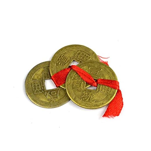 IndianStore4All Feng Shui Lucky Coins