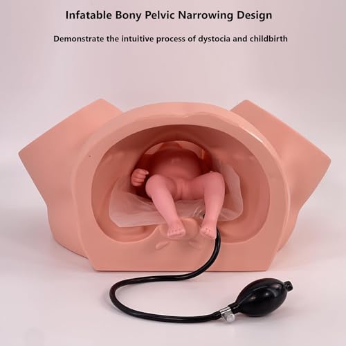 Modelo de demostración de simulador de nacimiento para entrenamiento avanzado de partería y educación de enfermería en obstetricia y ginecología