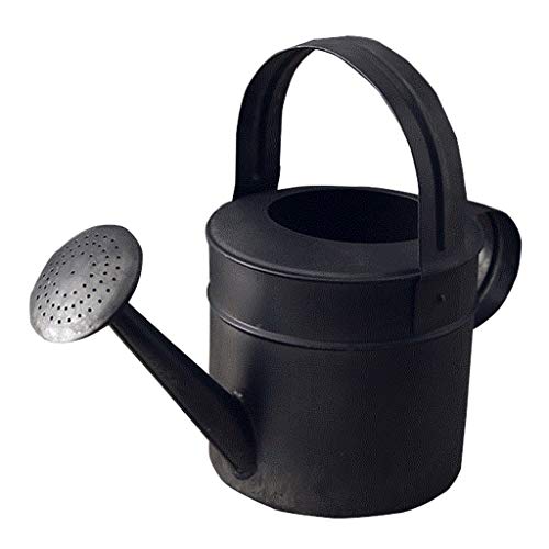 Regaderas Negra Retro Jardinería Metálica Interior Floristería Boca Larga Muebles Decorativos (Color : Black, Size : 31 * 14 * 23cm)