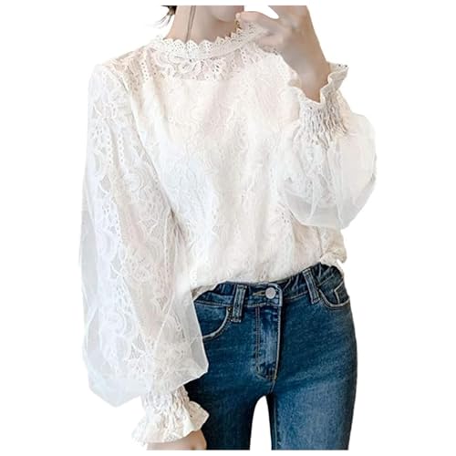 [ACG] uEX fB[X  H [X ^[glbNVc t ItBX A  ƒ  JWA   n K lC