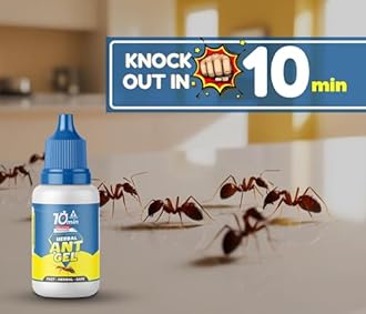 Amish Herbal Ant Gel Pack of 2 | 10 Min Max Bait Formula | Powerful Organic Repellent & Cleaner | Removes Red,Black Ant, Antox Pests | Natural Dawa Protector for Home & Kitchen