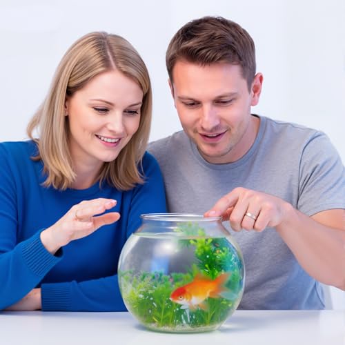 Image of Mifoci 3 Pcs Fish Bowl Plastic Fish Tank Clear 100 oz Goldfish Bowl Multipurpose Round Desktop Aquarium Transparent for Home Office Goldfish Turtle Candy Party Favors, 7.09 x 6.3 Inch