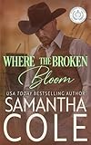 Suspenseful Seduction Publishing