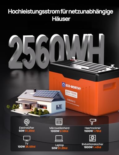 ECO-WORTHY 24V 100Ah LiFePO4 Bluetooth mit Display V2.0, 2560Wh Lithium batterie mit BMS Low Temperature Schutz für Boot,Wohnwagen,Wohnmobil