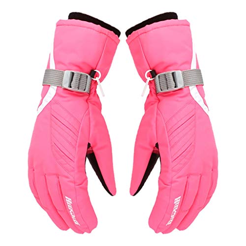 CapsA Winter Windproof Waterproof Touchscreen Gloves for Women Insulated Snow Silde Screen Ski Sport Warm Gloves Driving Water-Splashing Anti-Skid Outdoor Gloves (Pink)