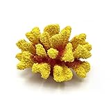 Agregue una respiración natural al acuario y produzca una variedad de paisajes armoniosos e interesantes. El arrecife de coral de imitación no es fácil de desvanecer después de estar sumergido en agua durante mucho tiempo, no cambia de color.
