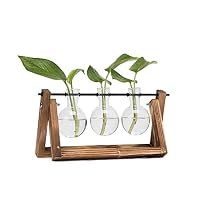 Vases Hyindoor en forme d'ampoule avec support vintage en bois et tige pivotante en métal - Pour plantes hydroponiques - Pots de fleurs en verre pour le bureau ou pour décorer la maison