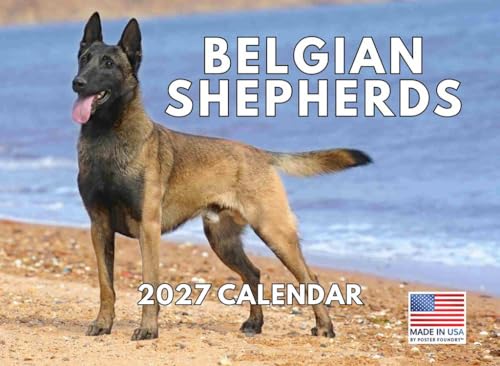 Belgian Shepherd Calendar 2027 Monthly Wall | American Made In The USA