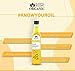 Blessfull Healing Organice Cold Pressed Sunflower Oil For Healthy Cooking 250 ml / 8.45 fl oz Pack Of 1