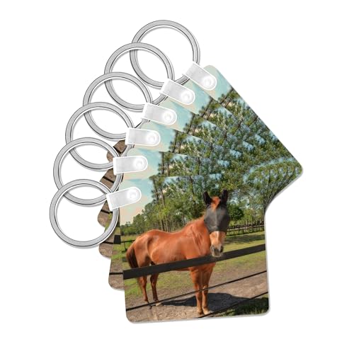 3dRose, horse in fly mask equine, set of 2 Key Chains