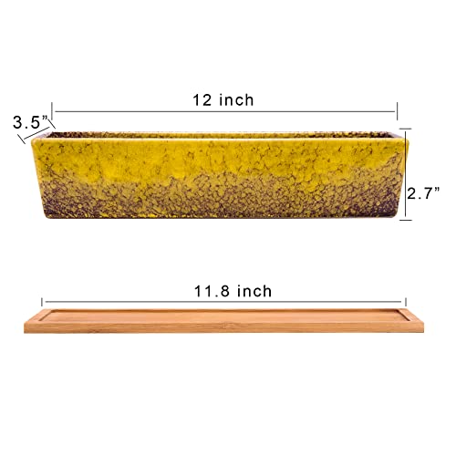 Succulent Pots - Large Succulent Planter Pots With Drainage, 12 Inch Long Rectangle Bonsai Pot With Bamboo Tray Shallow Ceramic Cactus Flower Planter Window Box For Home Garden Decor (Yellow) #TOP2