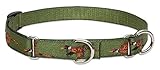 LupinePet 3/4-Inch Fly Away 14-20-Inch Martingale Combo Collar for Medium to Large Dogs