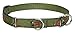 LupinePet 3/4-Inch Fly Away 14-20-Inch Martingale Combo Collar for Medium to Large Dogs
