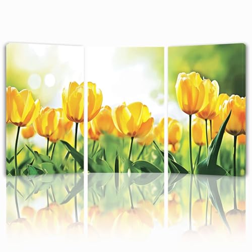 Cuadros Decoracion Salon Modernos, 3 Pcs Marco de Madera Cuadros Paisaje Posters para Pared Lienzo Pintura Tulipán Wall Art Imagen Decoracion Dormitorios Cocina Baño Pasillo Pared 50x70 cm 1f-686