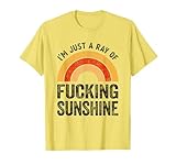 Ray Of Fucking Sunshine Rainbow Sarcastic Gifts