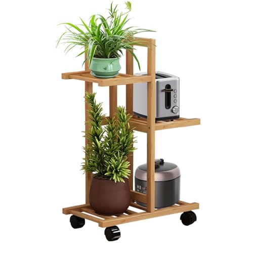Soporte para plantas de interior – 50 x 24 x 73 cm | Estante de exhibición escalonado de pie | Soportes organizadores de macetas para balcón, entrada, sala de estar, porche
