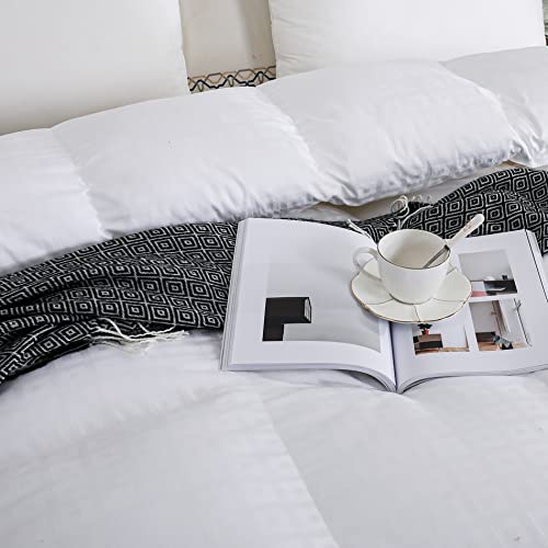 Snowman Lightweight 93% Goose Down Comforter Queen Size,Medium Warmth Fluffy Duvet Insert,100% Egyptian Cotton Shell- 750 Fill Power (Queen,White) #TOP2