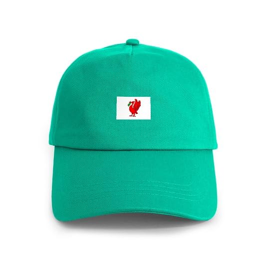 Gorra ajustable Liverpool Liverbird baseball miniatura 1