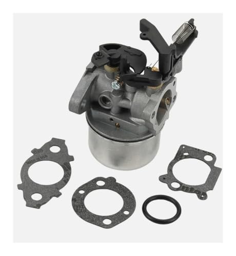 Carburateur de rechange Briggs & Stratton 591137 796608 motoculteur